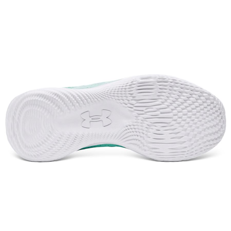 CURRY 2 LOW FLOTRO Under Armour | 3026276001